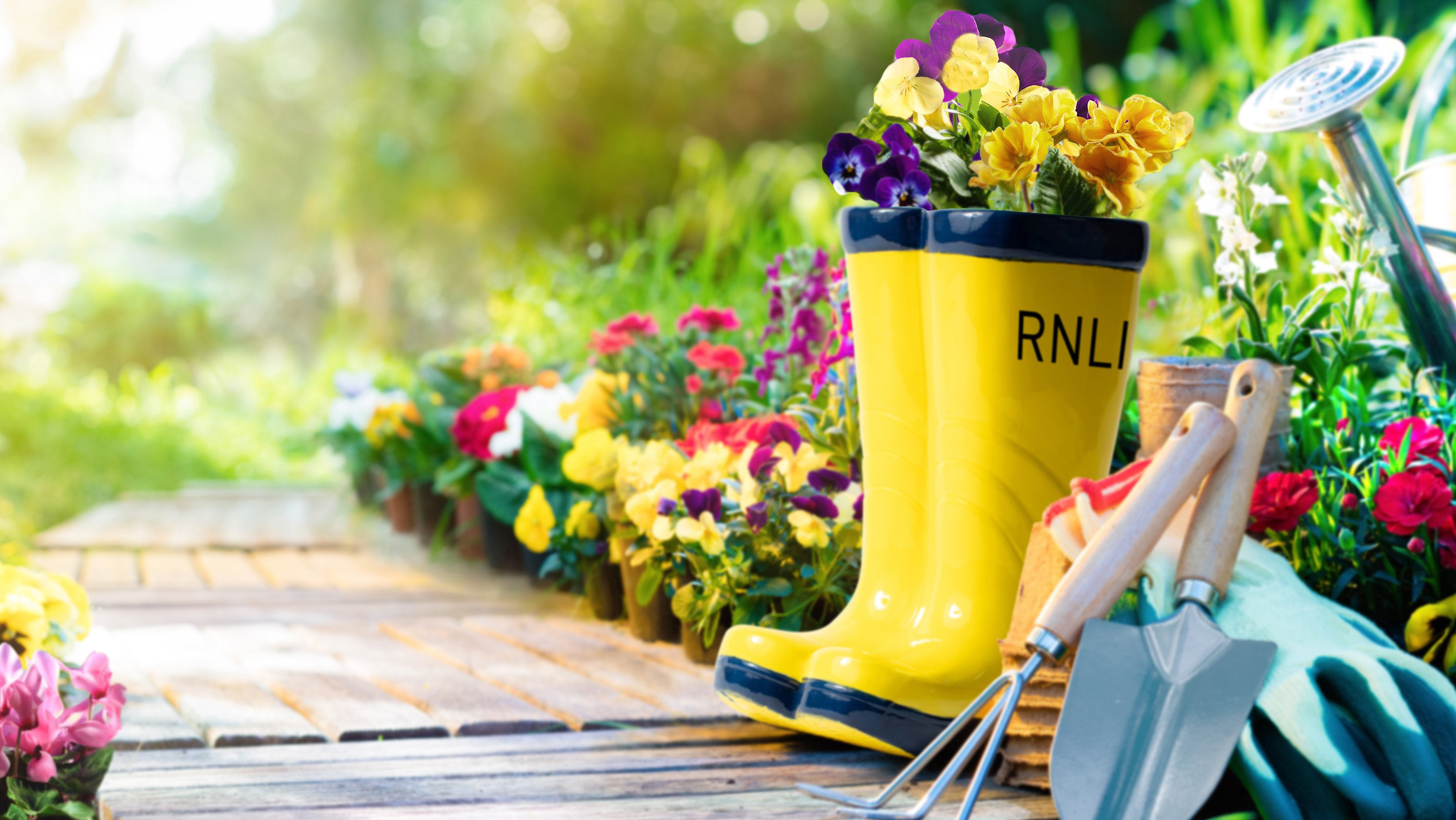 An RNLI yellow welly planter with purple and yellow flowers bursting out the top of it sits on a wooden path surrounded by colourful flowers. There are gardening tools in the foreground.