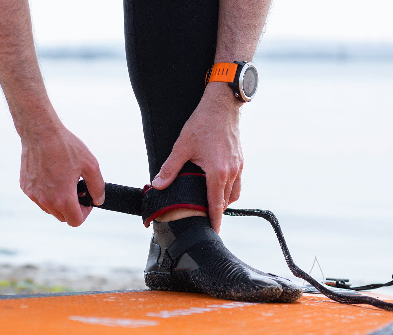 Attaching an ankle leash.
