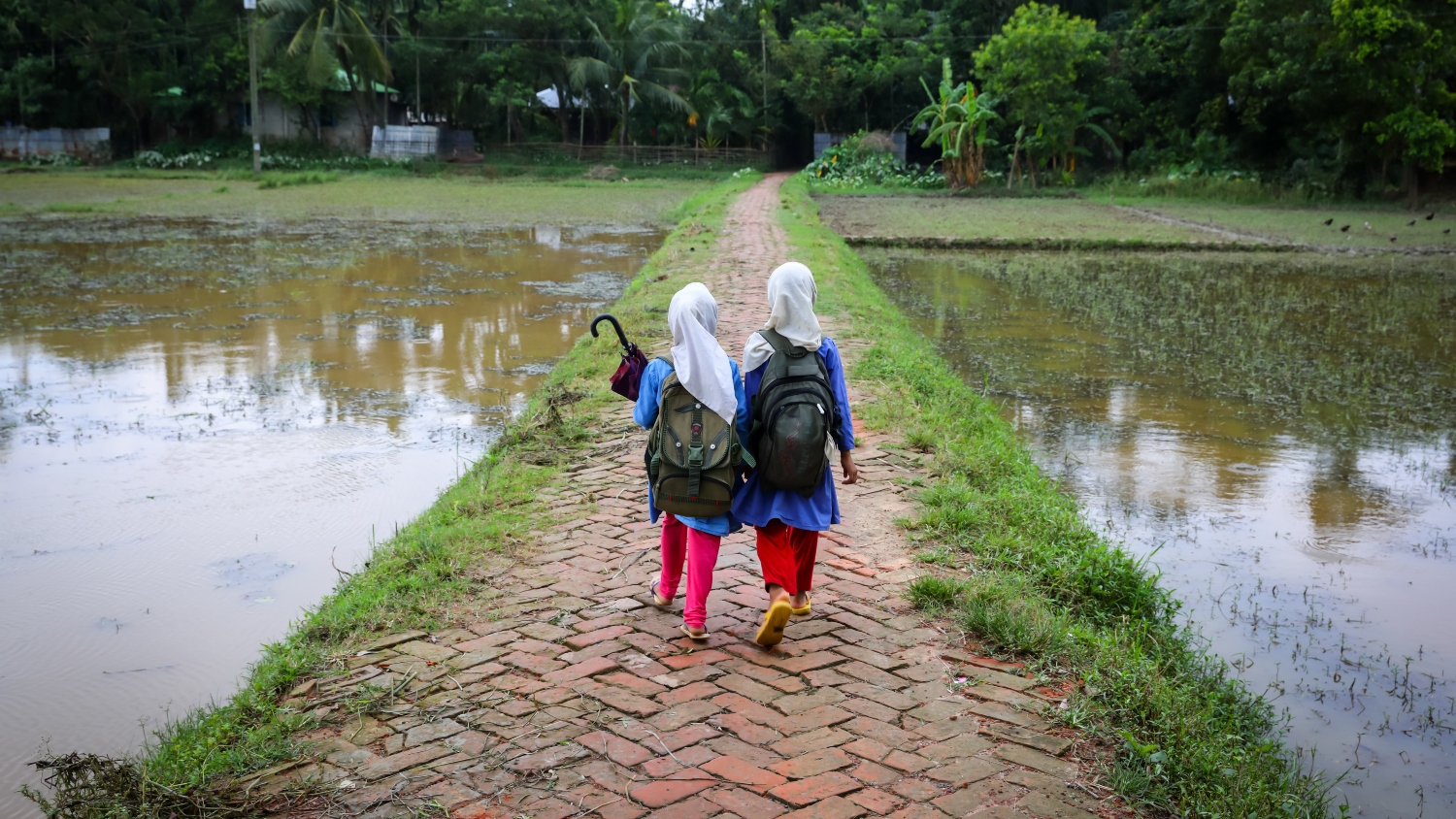 Nuri (7) and Tumpa(8) going back from their school. The whole village submerges by flood water. Cox s Bazar. Bangladesh. One inch of water international project.