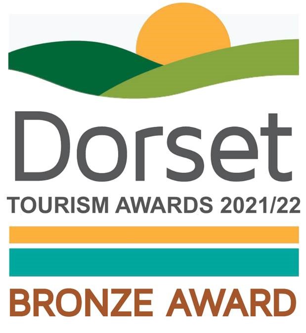 DTA Bronze award logo